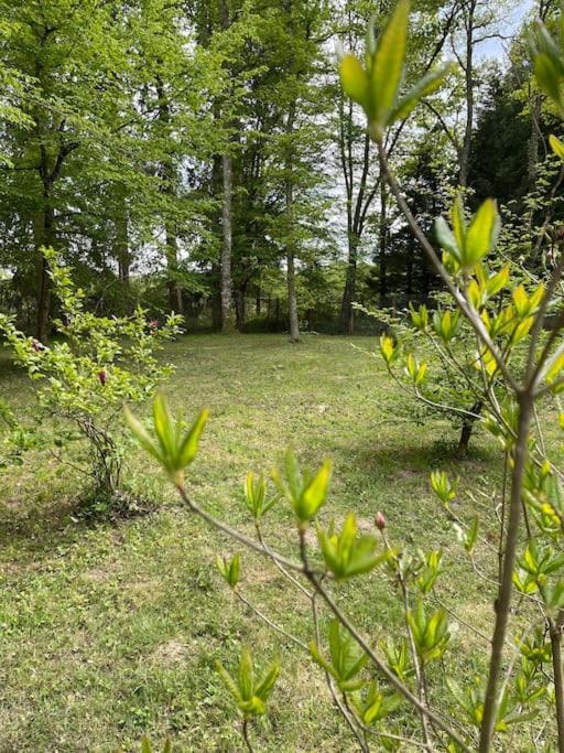 Gite Les Reculons Au Pied Du Lac Les Midoux Exterior foto